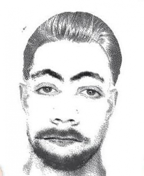 491x600 The Psychic Made A Sketch Of The Antichrist Earth Chronicles News - Psychic Sketches