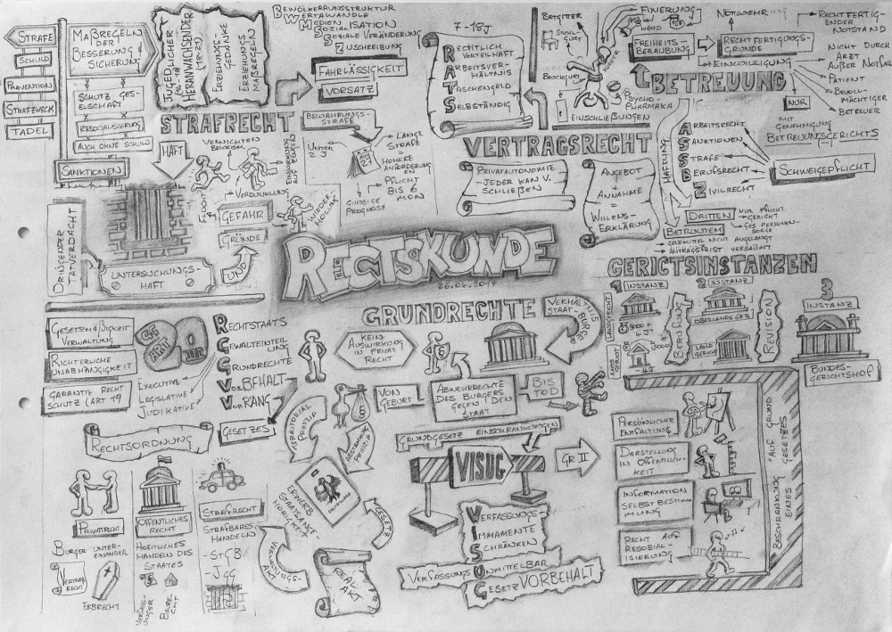 1000x709 Sketches Wild Goose - Psychological Sketches