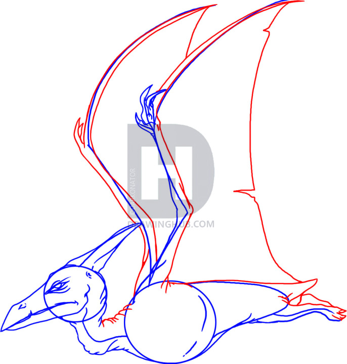 686x720 How To Draw A Pterodactyl, Step By Step, Drawing Guide, By - Pterodactyl Sketch