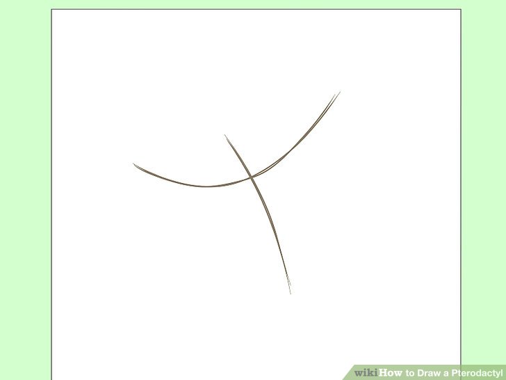 728x546 How To Draw A Pterodactyl 6 Steps (With Pictures) - Pterodactyl Sketch