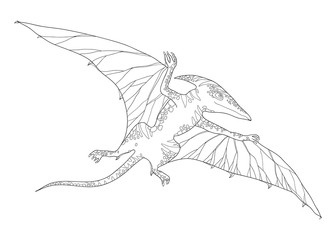 336x240 Pterodactyl Photos, Royalty Free Images, Graphics, Vectors - Pterodactyl Sketch
