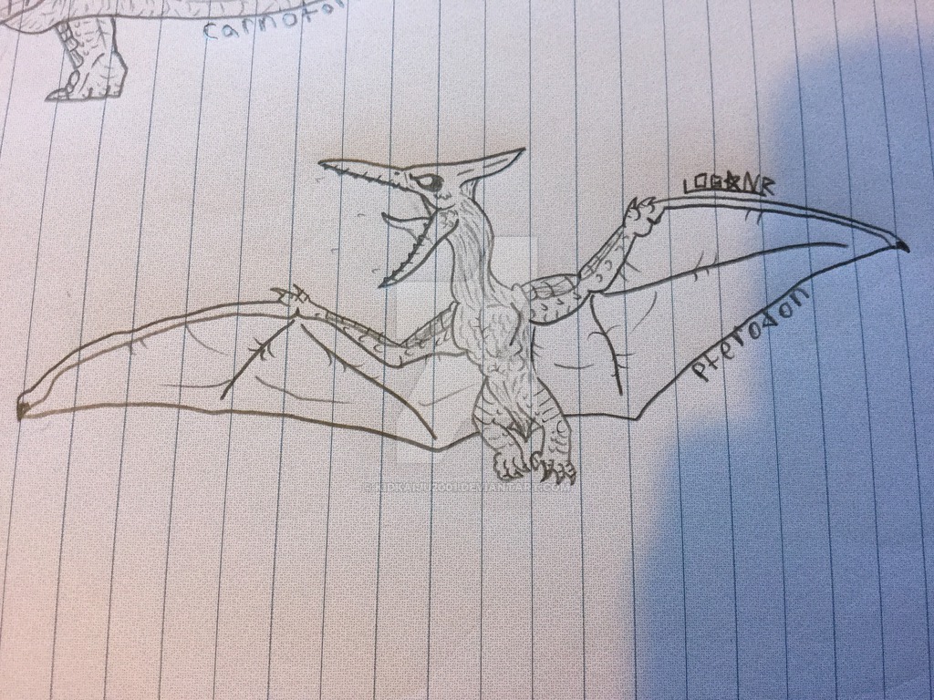 1024x768 Pterodactyl Sketch By Kidkaiju2001 - Pterodactyl Sketch