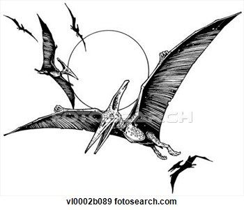 350x301 Realistic Flying Pterodactyls Tattoos Tattoos - Pterodactyl Sketch
