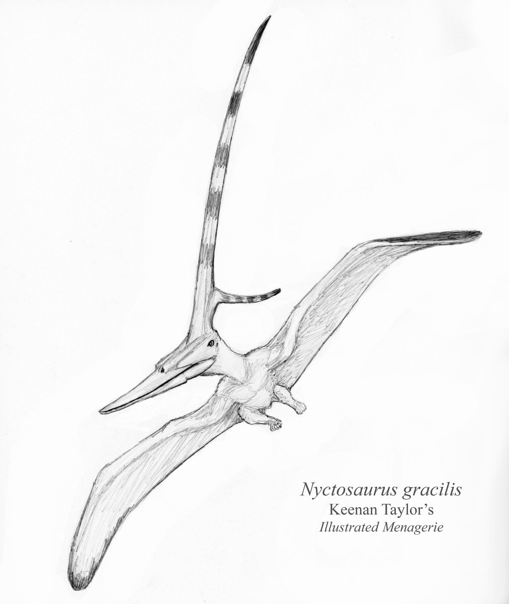 Птерозавр-никтозавр