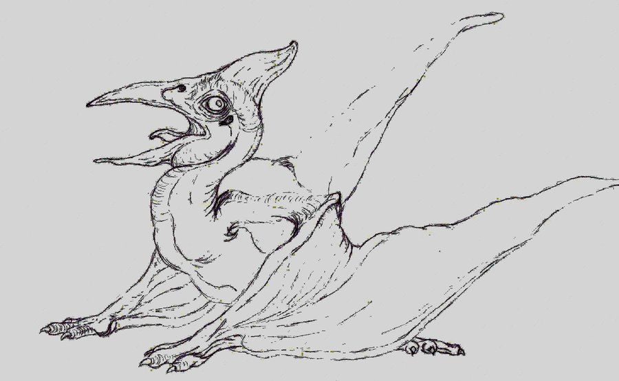 900x554 Pterodactyl Sketch Dromfim.top Projects To Try - Pterodactyl Sketch