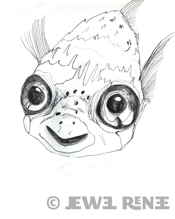 576x720 Jewel Renee Illustration Balloon Fish Sketch - Puffer Fish Sketch