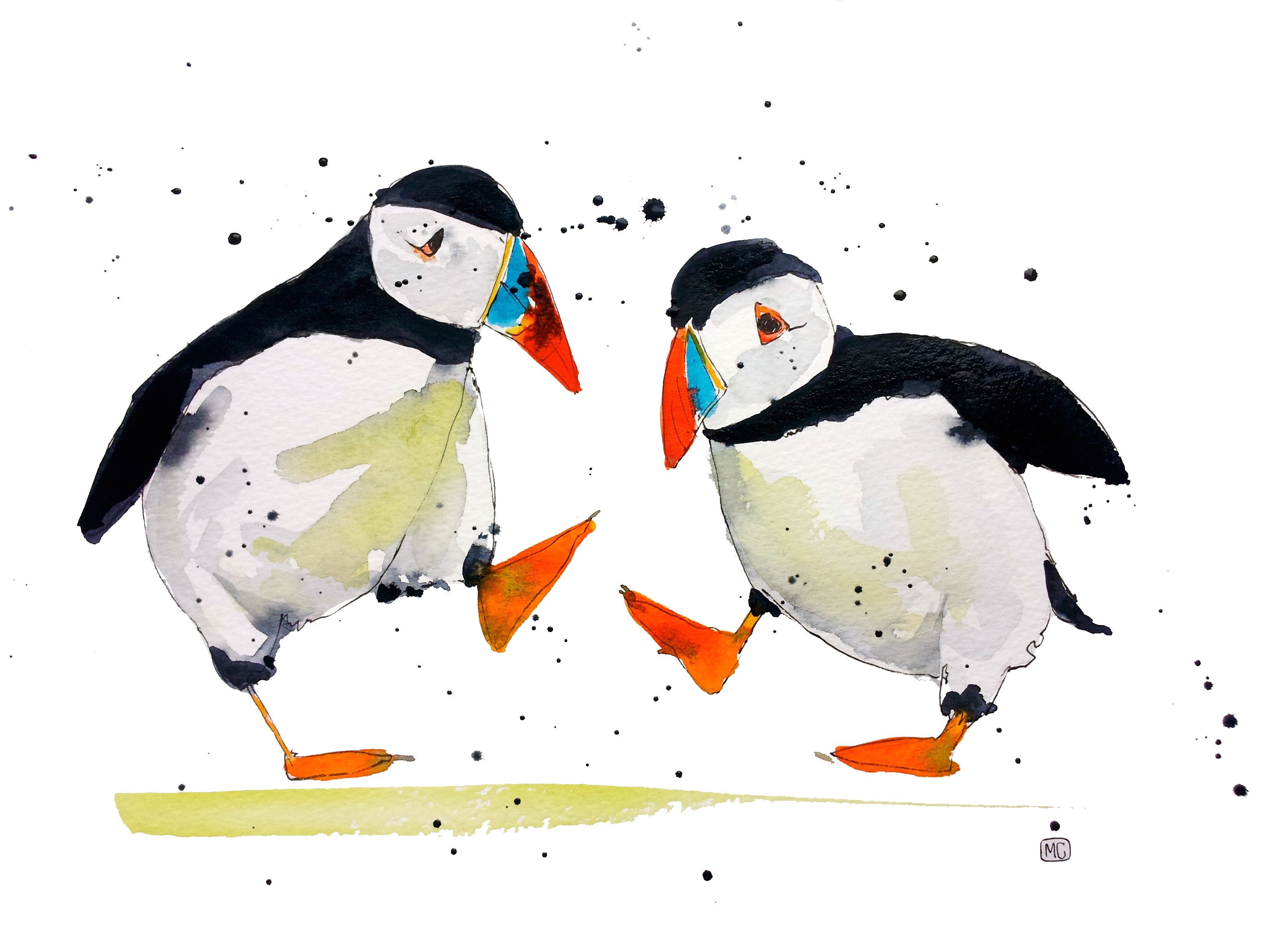 3264x2448 Michelle Campbell Art - Puffin Sketch