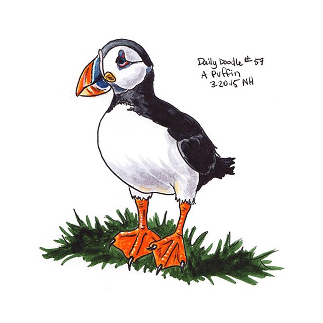 640x640 No.59 A Puffin - Puffin Sketch