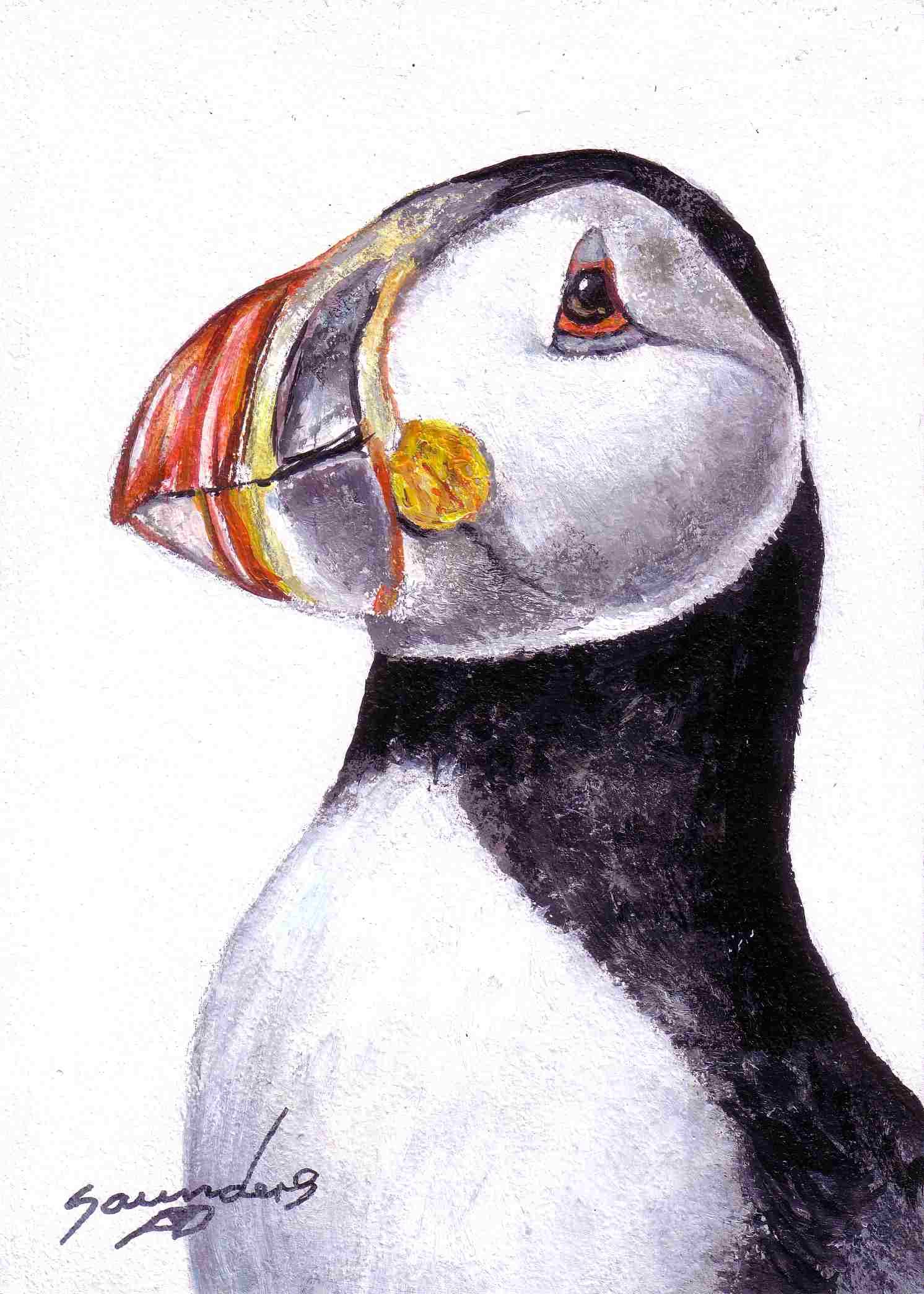 1492x2088 Puffin Bird - Puffin Sketch