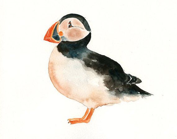 570x448 Puffin Sketch Sleeve 2 - Puffin Sketch