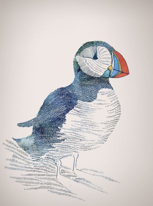 500x673 Lovely Puffin Sketch Birds Sketches, Bird And - Puffin Sketch