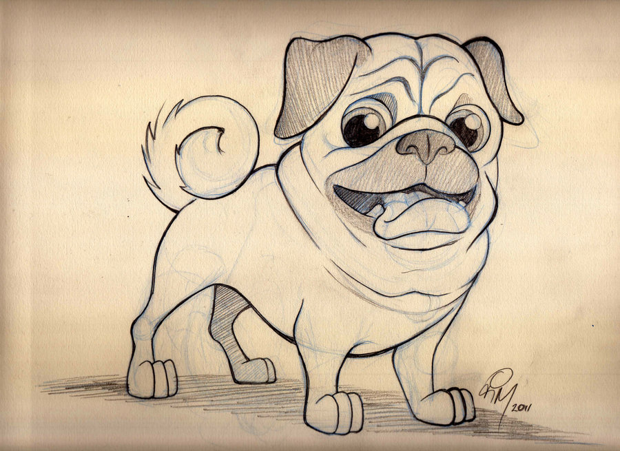 900x655 Pug Cartoon Sketch By Timmcfarlin - Pug Dog Sketches