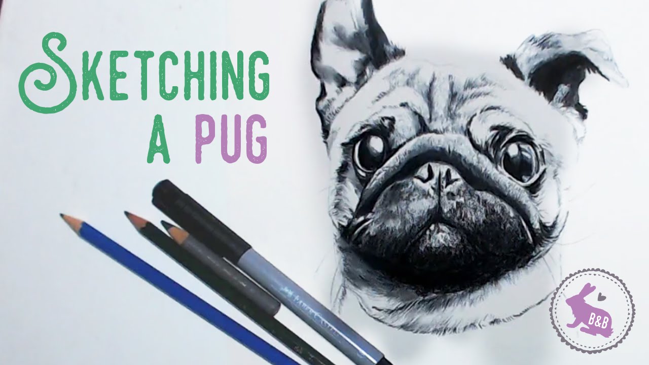 1280x720 Sketching A Pug! - Pug Dog Sketches