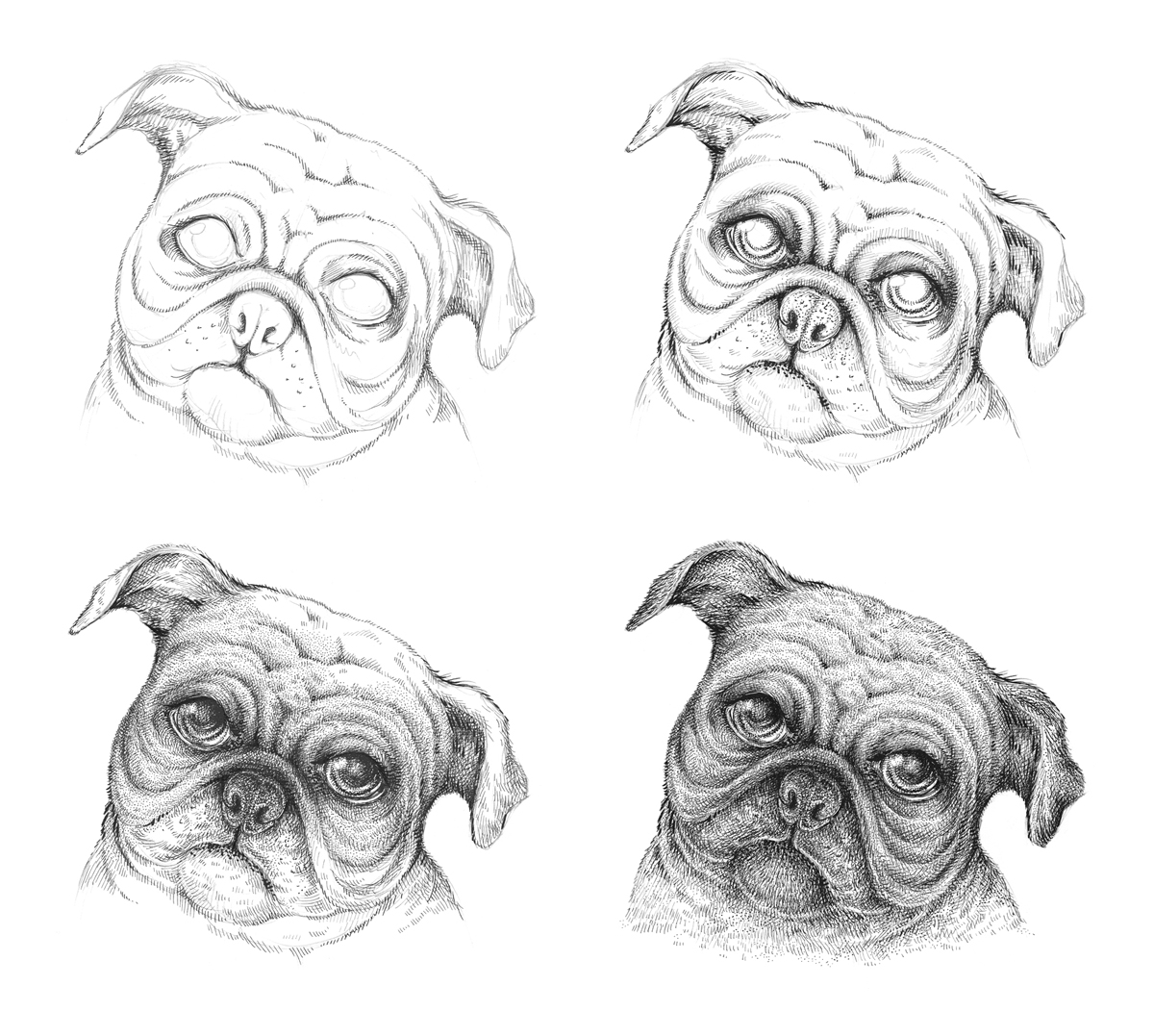 1200x1077 Drawing With Ink - Pug Dog Sketches