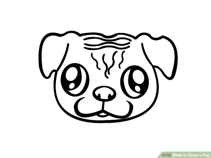 728x546 How To Draw A Pug 7 Steps (With Pictures) - Pug Sketch