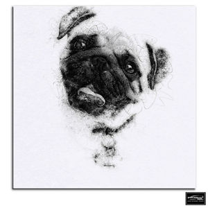 300x300 Pug Sketch Modern Animals Box Framed Canvas Art Picture Hdr 280gsm - Pug Sketch