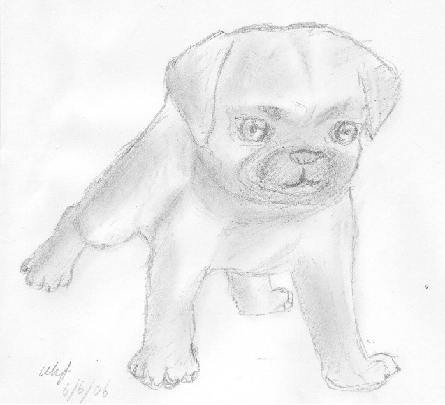 637x581 Pug Sketch By Hellopian - Pug Sketch