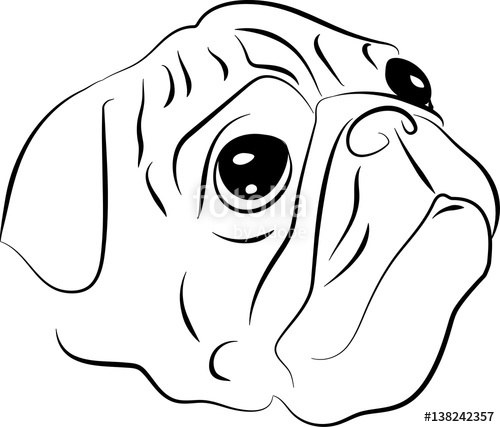 500x427 Vector Sketch Of Pug Dog Stock Image And Royalty Free Vector - Pug Sketch