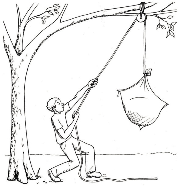 590x612 Gr9 Technology - Pulley Sketch