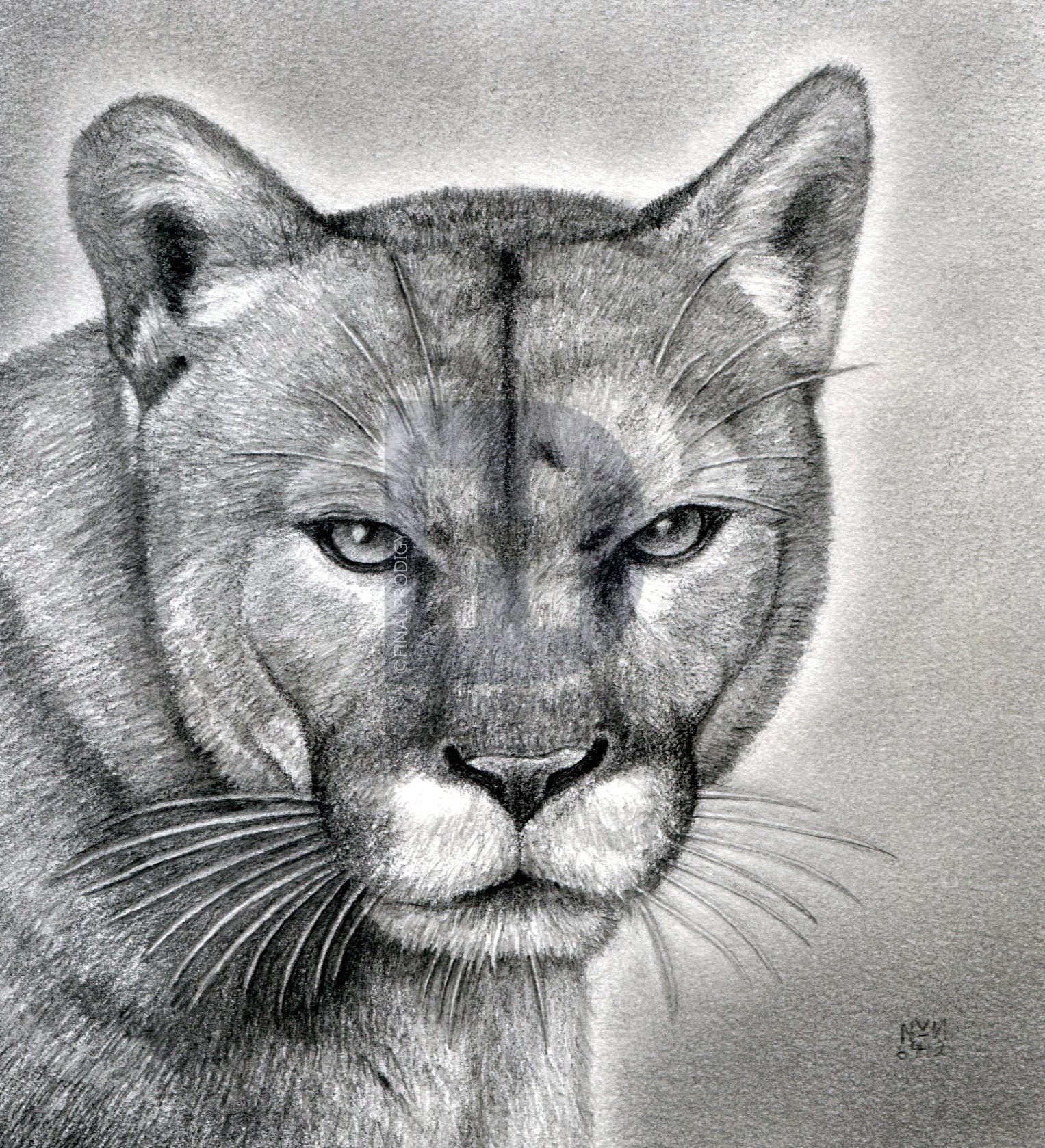 Puma paintings search result at