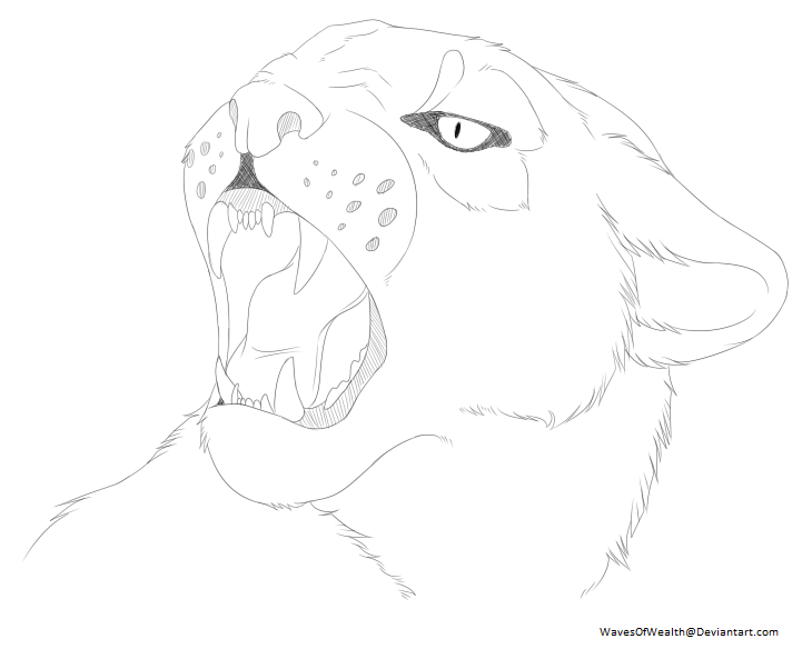 730x593 Puma - Puma Sketch