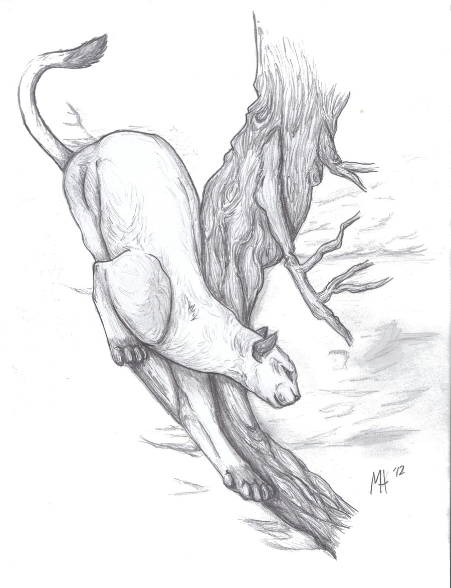 900x1171 Puma Sketch By Demonsnake - Puma Sketch