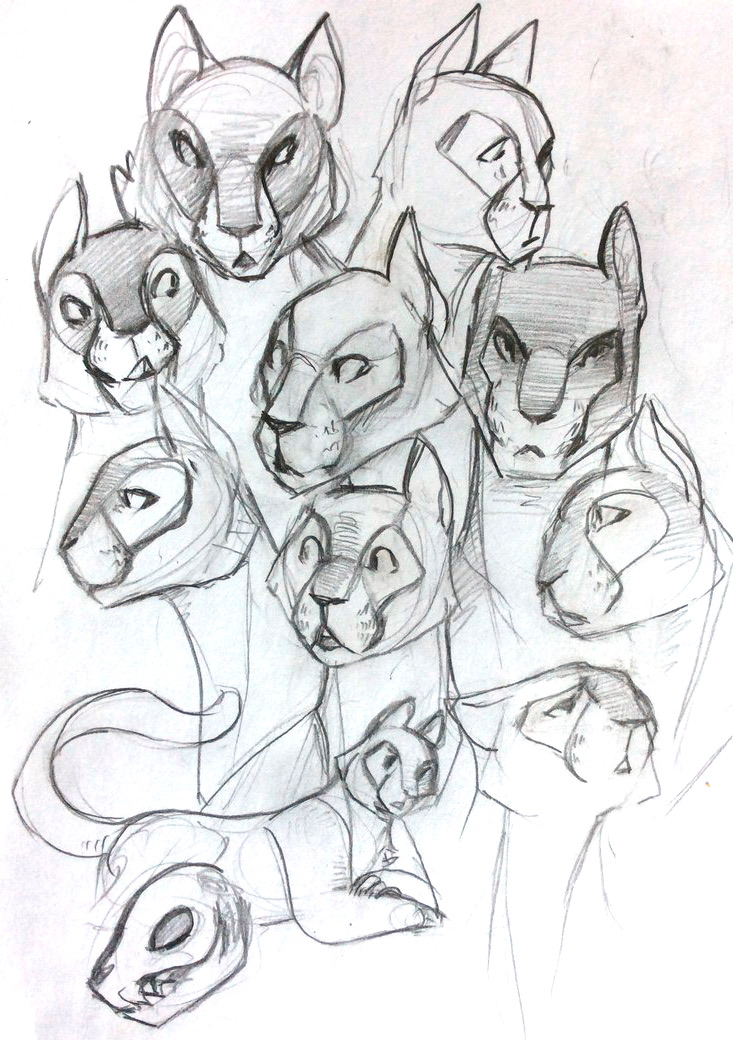 733x1040 Puma Sketches By Miradella - Puma Sketch