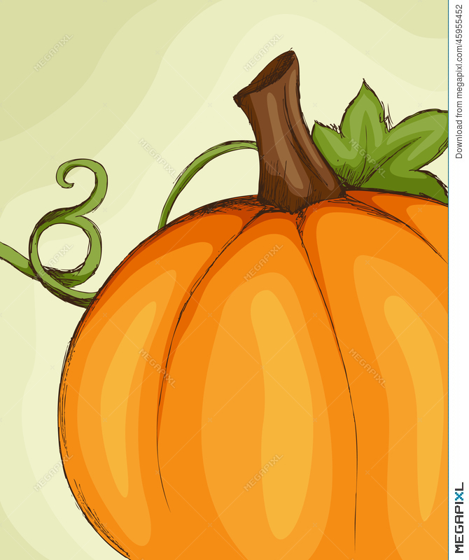 670x800 Pumpkin Sketch Illustration 45955452 - Pumpkin Sketch