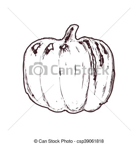 450x470 Pumpkin Sketch Vegetable Healthy Food Icon. Vector Graphic - Pumpkin Sketch