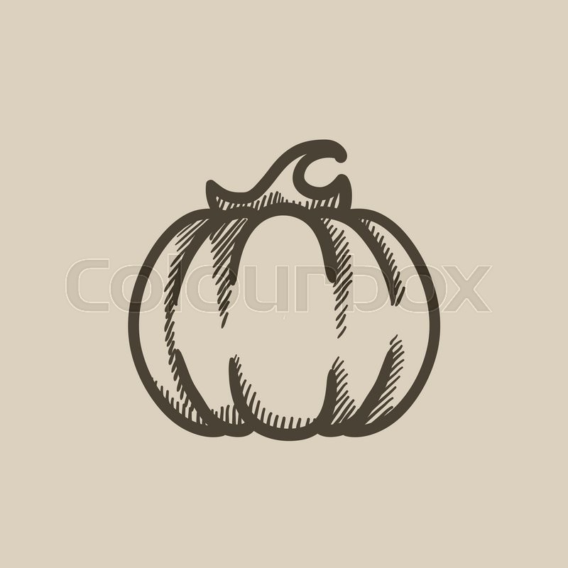 800x800 Pumpkin Vector Sketch Icon Isolated On Background. Hand Drawn - Pumpkin Sketch
