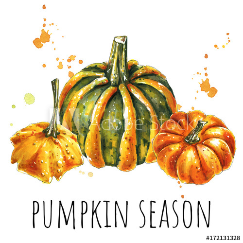 500x500 Pumpkin Watercolor Hand Drawn Food Illustration.watercolor Pumpkin - Pumpkin Sketch