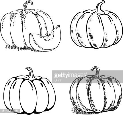 429x400 Pumpkin Sketch - Pumpkin Sketch