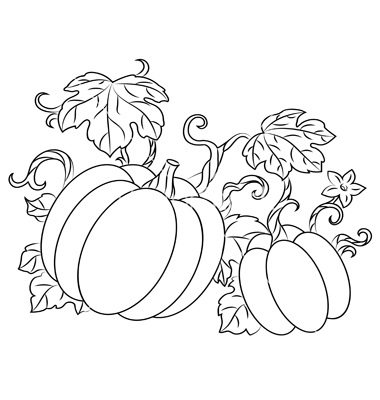 380x400 Drawn Pumpkin Sketch 28 - Pumpkin Sketch