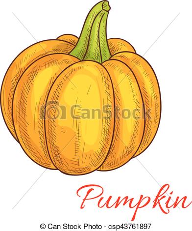 392x470 Pumpkin Vegetable Vector Isolated Sketch Icon. Pumpkin Sketch - Pumpkin Sketch Images