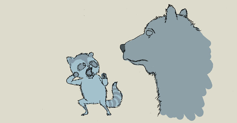 800x418 Monday Sketch Raccoon About To Punch Bear In Mouth - Punch Sketch