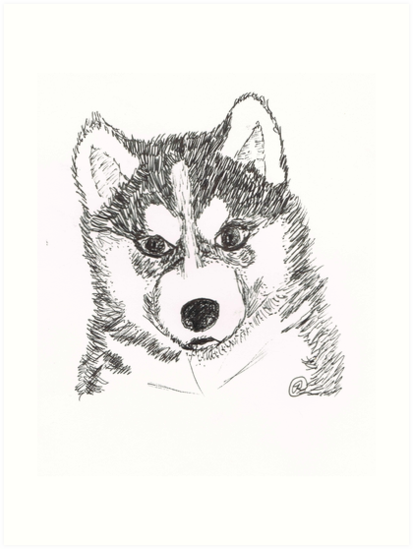 413x549 Husky Puppy Sketch Art Prints By Roger Wilber Redbubble - Puppy Sketch