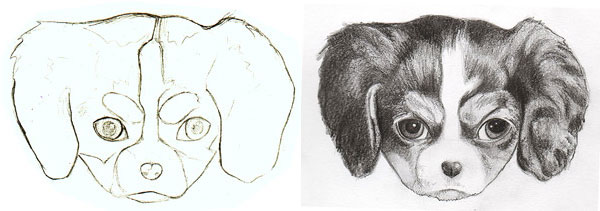 600x211 How To Draw A Puppy Learn How To Draw Puppies! Art Is Fun - Puppy Sketch Easy
