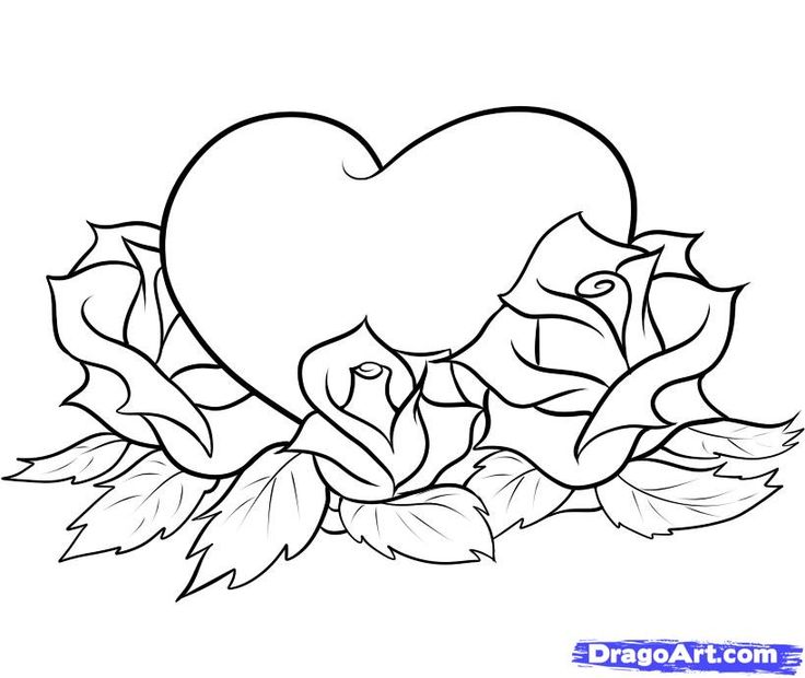 736x620 Purple Rose Clipart Flower Line 25 - Purple Rose Sketch
