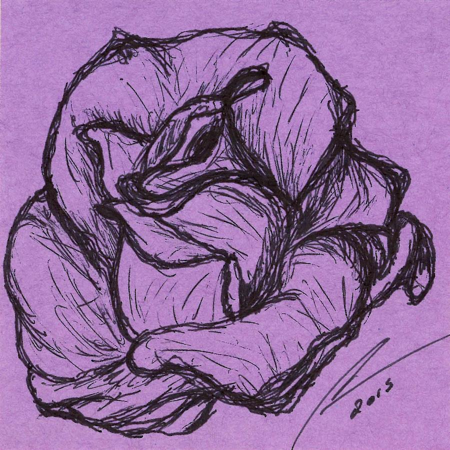 900x900 Purple Rose Drawing By Nicole Porter - Purple Rose Sketch