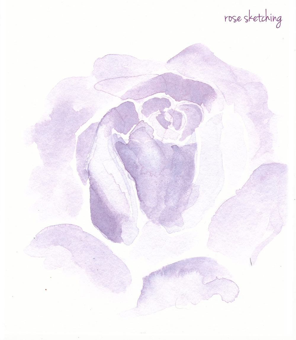 1000x1149 Rose Week - Purple Rose Sketch