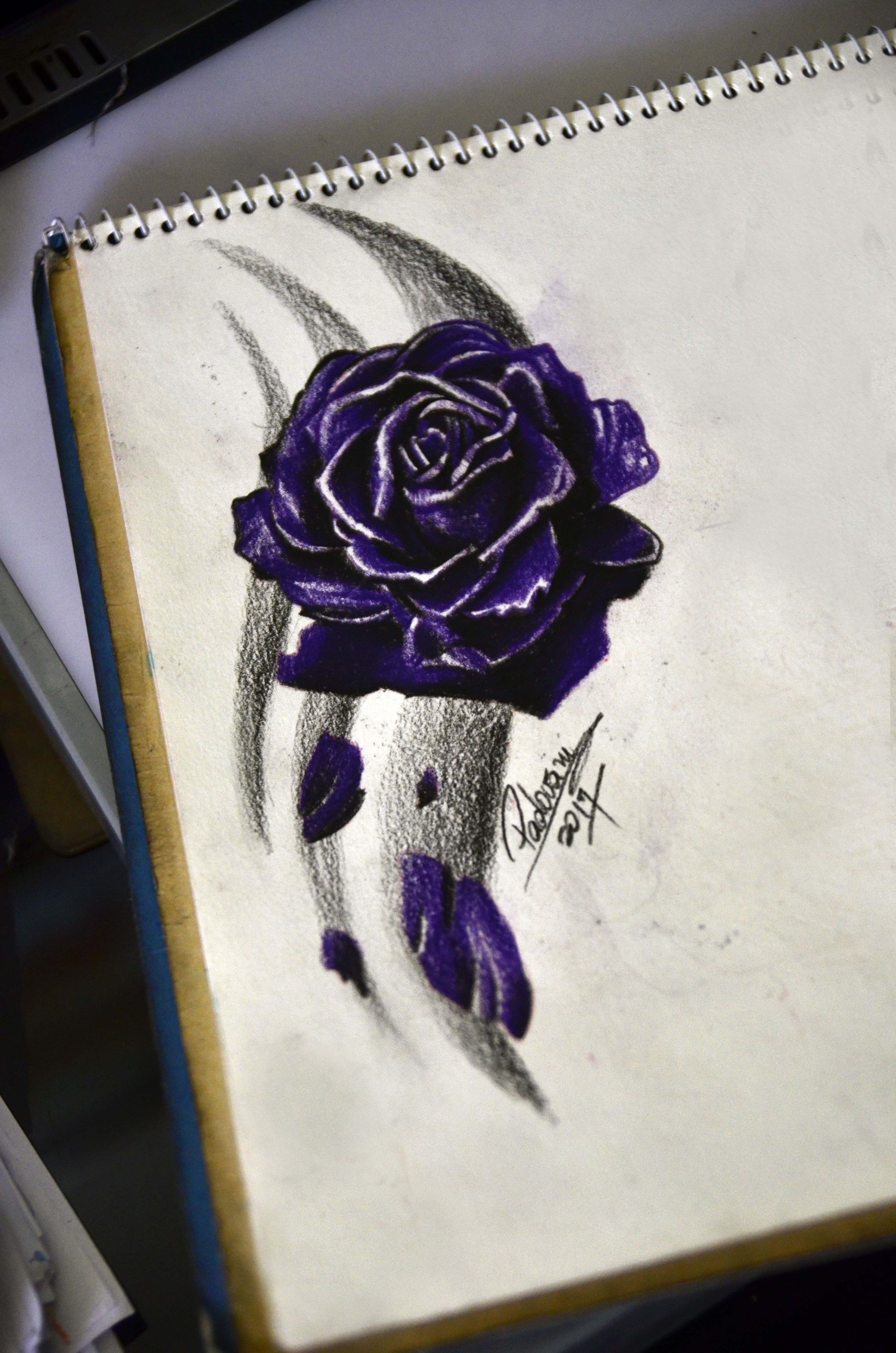 3264x4928 Purple Rose Tattoo Sketch - Purple Rose Sketch