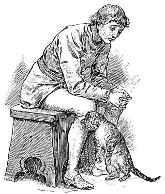 341x400 Surlalune Fairy Tales Illustrations Of Puss In Boots - Puss In Boots Sketch