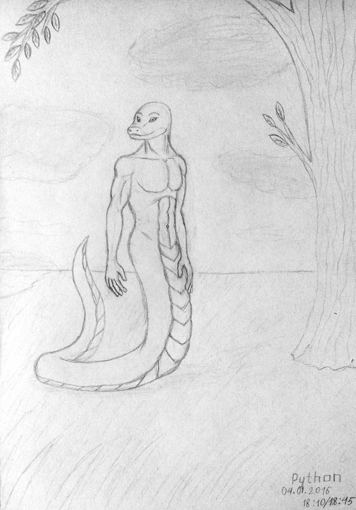 711x1020 Python (Sketch) By Maxmed 01 - Python Sketch