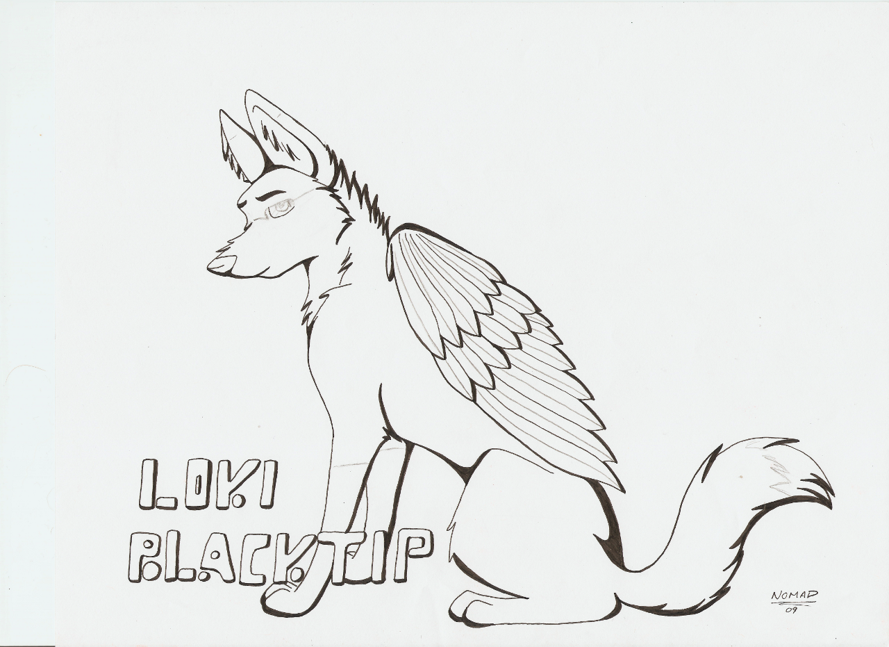 1280x931 Loki Blacktip - Quad Sketch