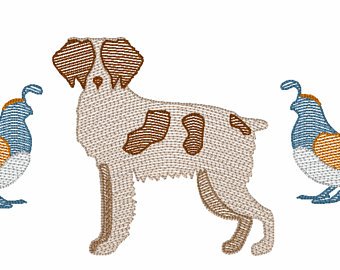 340x270 Quail Sketch Etsy - Quail Sketch