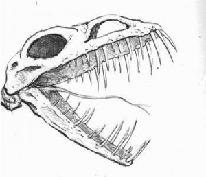 300x258 Line Quality Artists Use This Simple Tip For A Better Drawingcome - Quality Sketch