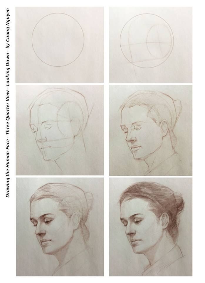 698x960 Drawing The Human Face - Quarter Sketch