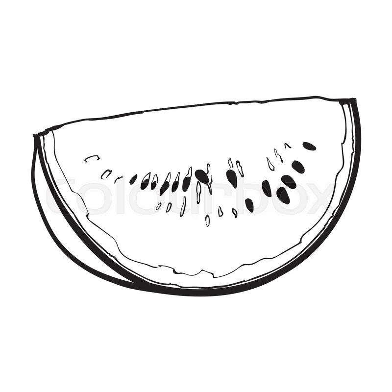 800x800 Quarter Slice Of Ripe Watermelon With Black Seeds, Sketch Style - Quarter Sketch