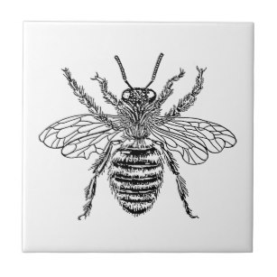 307x307 Queen Bee Decorative Ceramic Tiles Zazzle - Queen Bee Sketch
