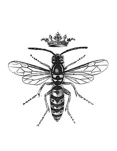 232x300 Queen Bee Drawings Fine Art America - Queen Bee Sketch